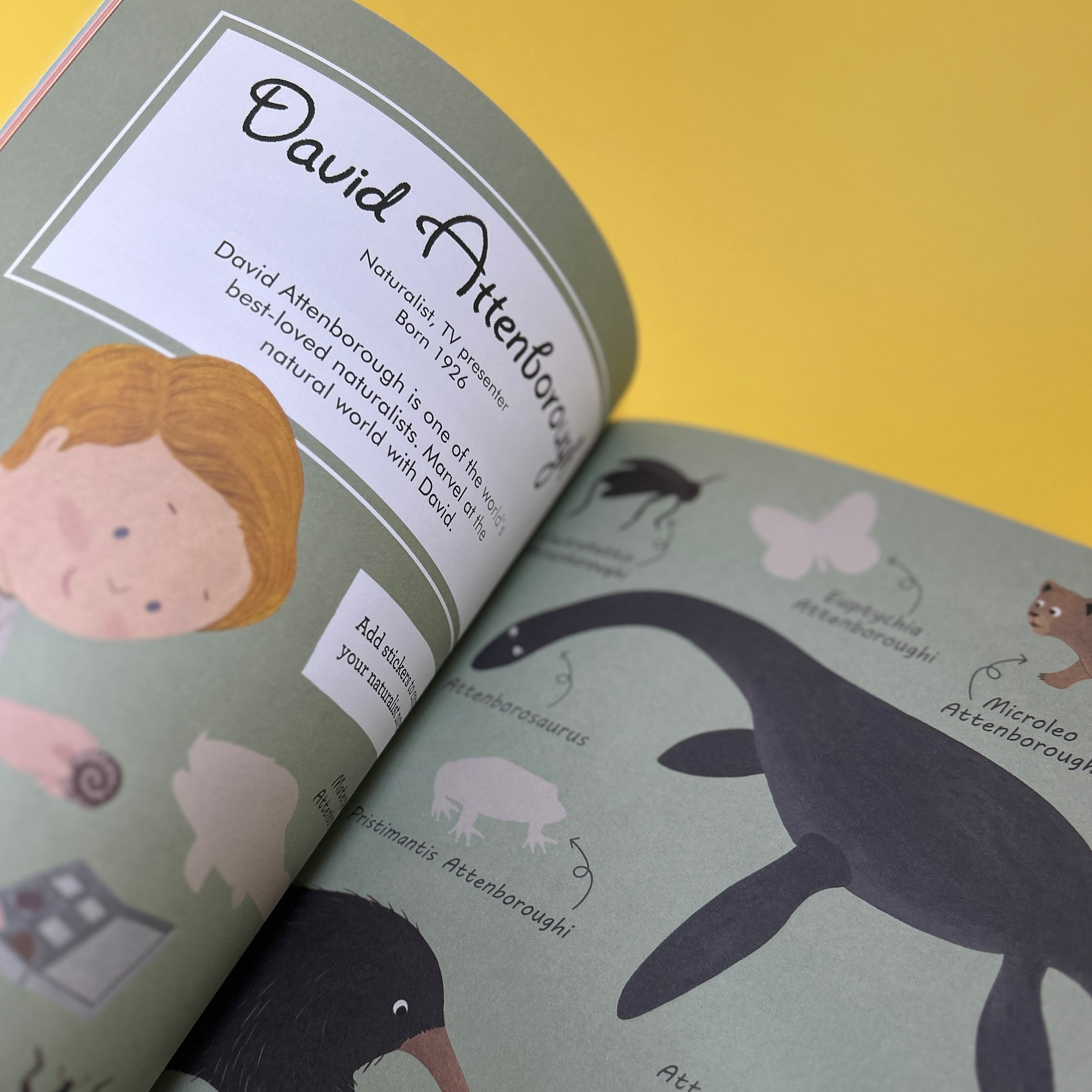 Little People Big Dreams Activity Book