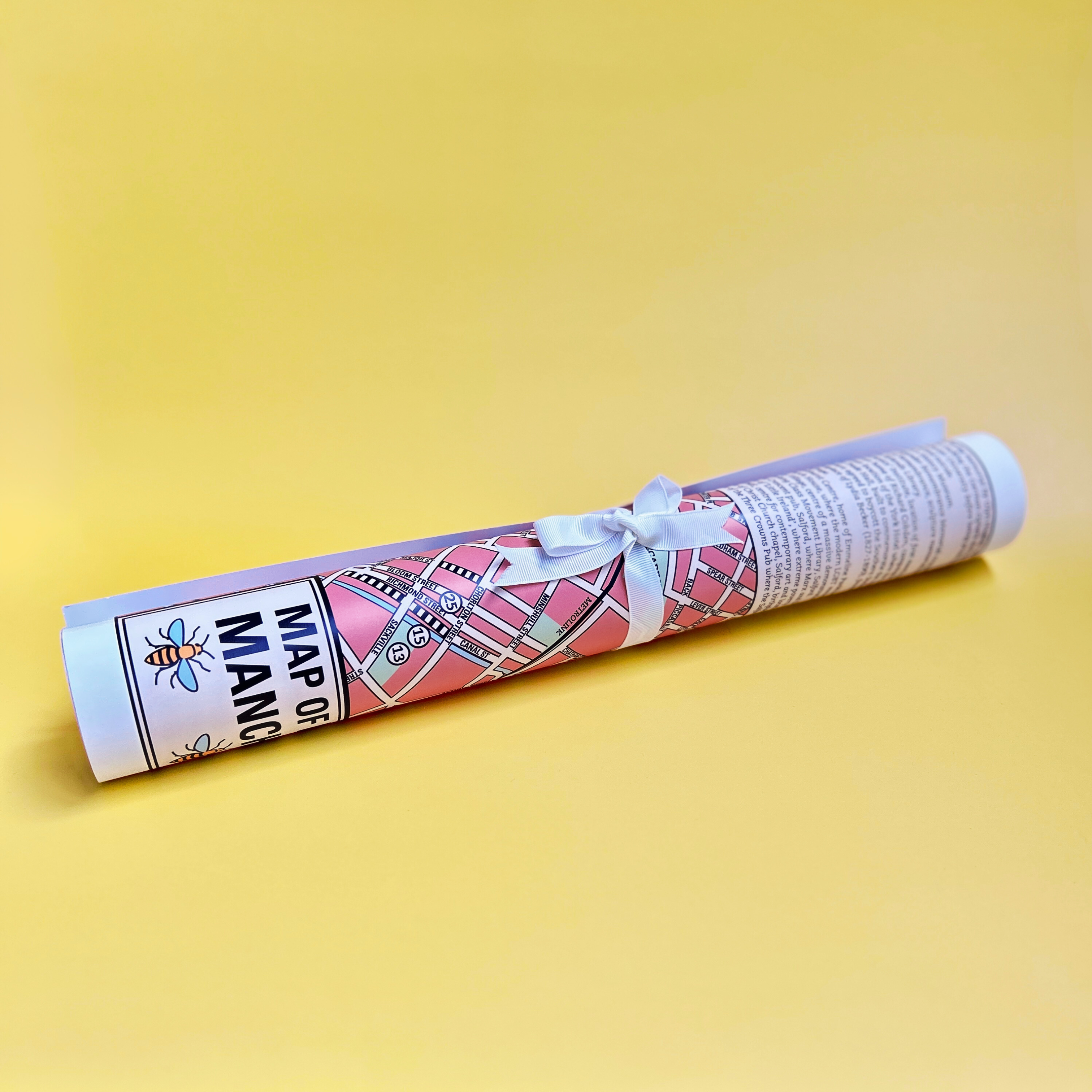 Radical Manchester Map - Poster