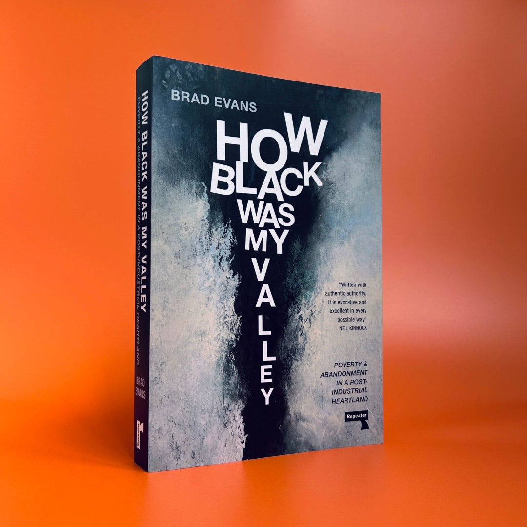 How Black Was My Valley: Poverty and Abandonment in a Post-Industrial Heartland