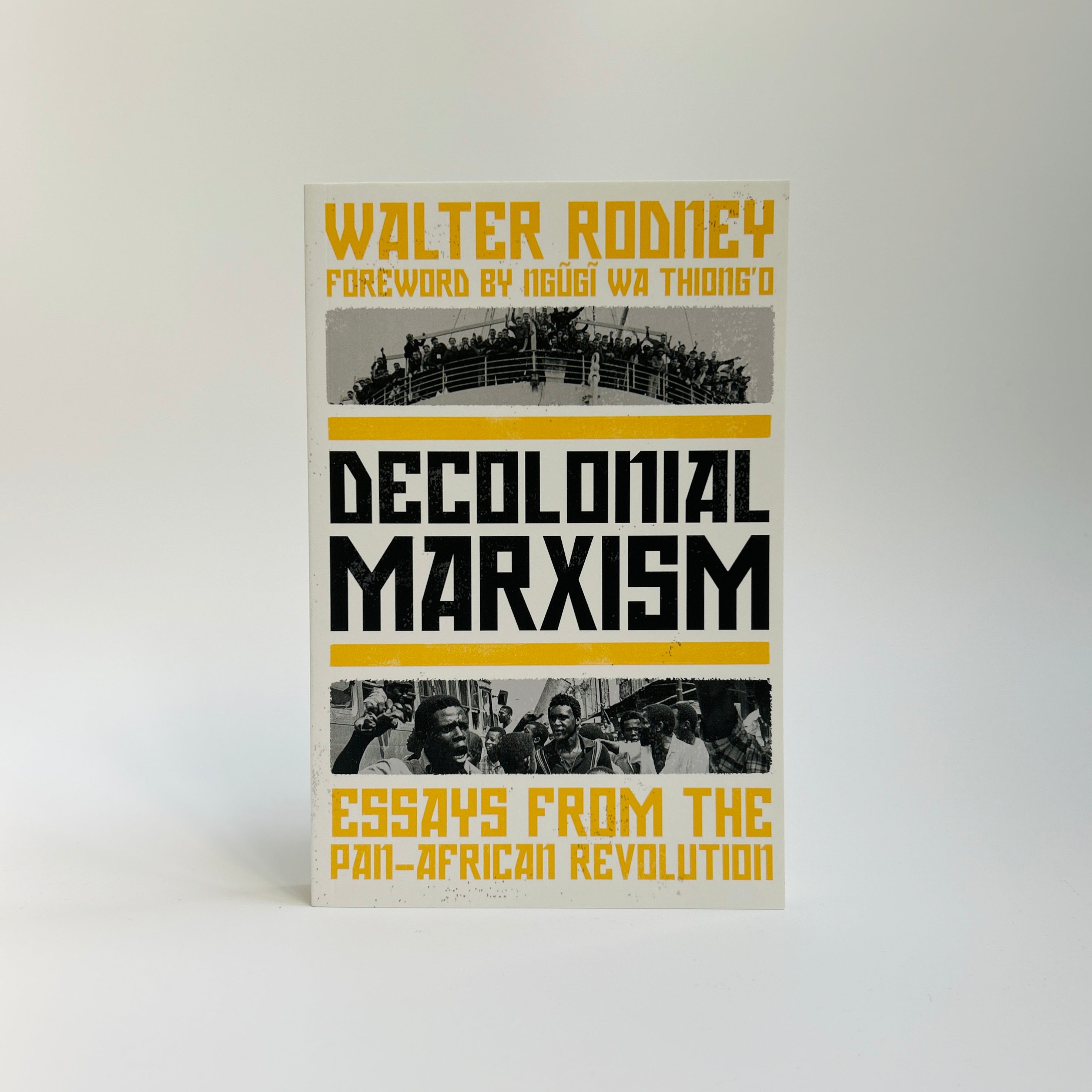 Decolonial Marxism - Essays from the Pan-African Revolution